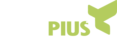 Kiwiplus